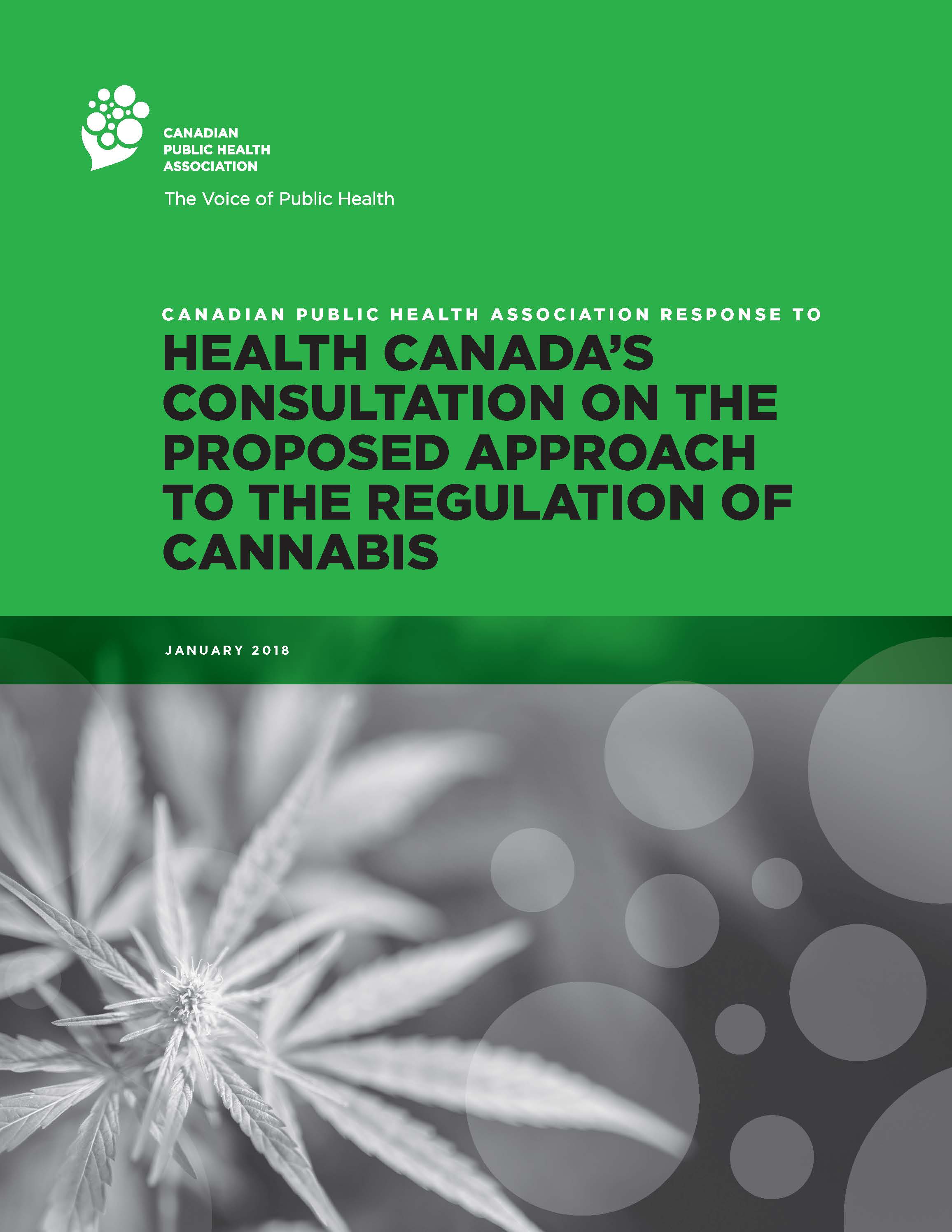 Cover: Response to Health Canada’s Consultation on the Proposed Approach to the Regulation of Cannabis